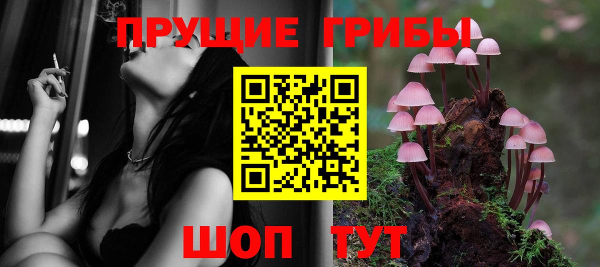 Псилоцибиновые грибы MAGIC MUSHROOMS Благодарный